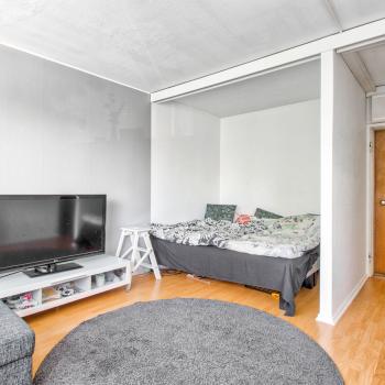 Olohuone ja makuualkovi